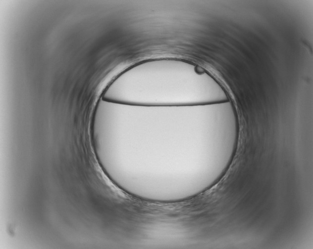 X0000100491197200806130748