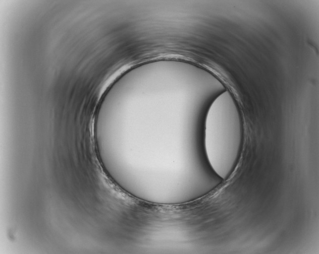 X0000100491198200806130748