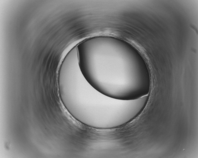 X0000100491200200806130748