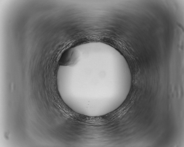 X0000100491201200806130748