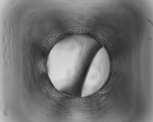 X0000100491202200806130748