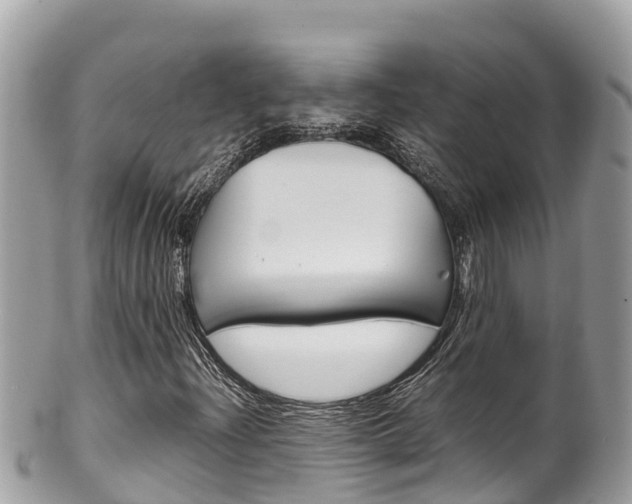 X0000100491204200806130748
