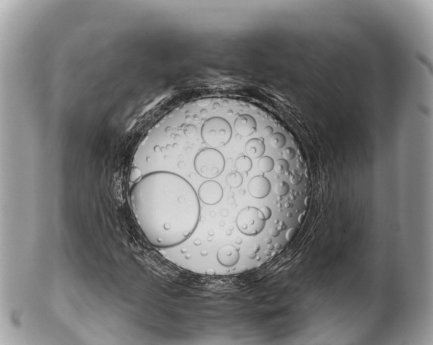 X0000100491205200806130748