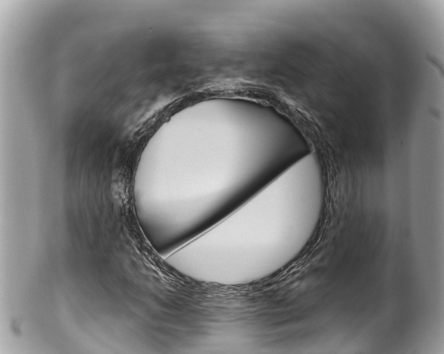 X0000100491206200806130748