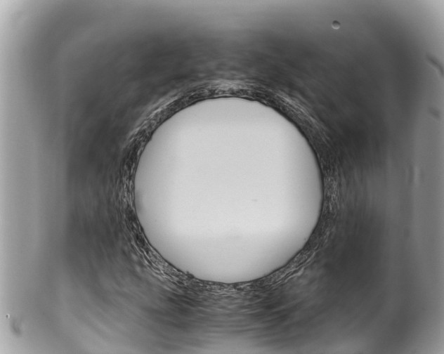 X0000100491207200806130748