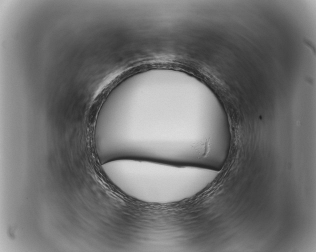 X0000100491208200806130748