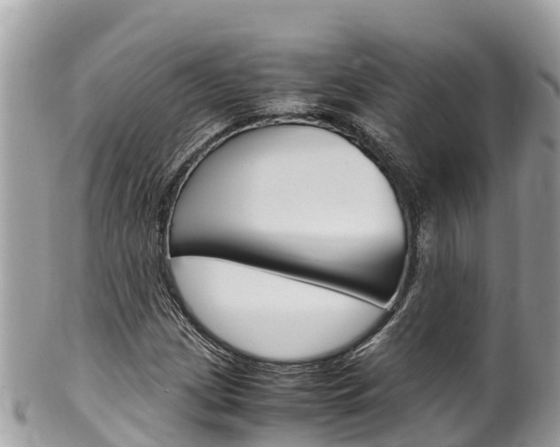 X0000100491209200806130748