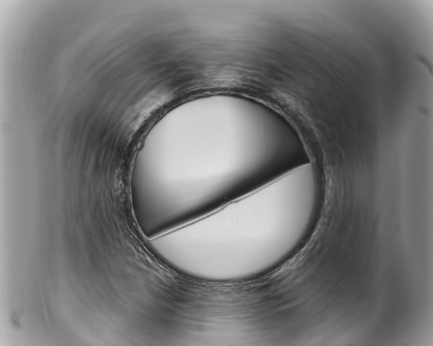 X0000100491210200806130748