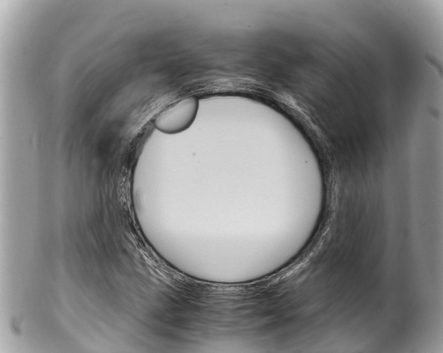 X0000100491211200806130748