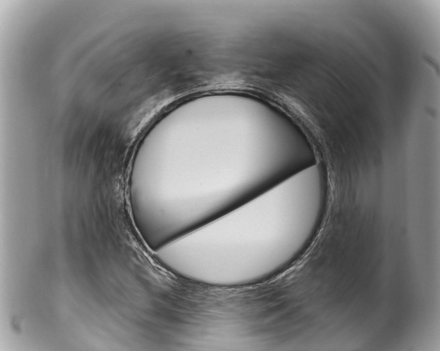 X0000100491212200806130748