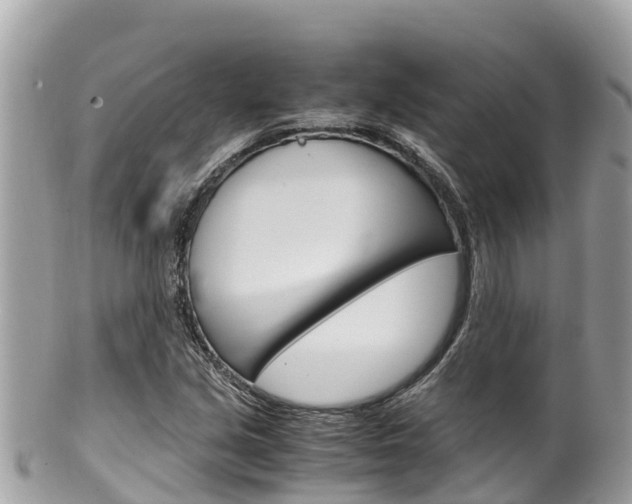X0000100491213200806130748