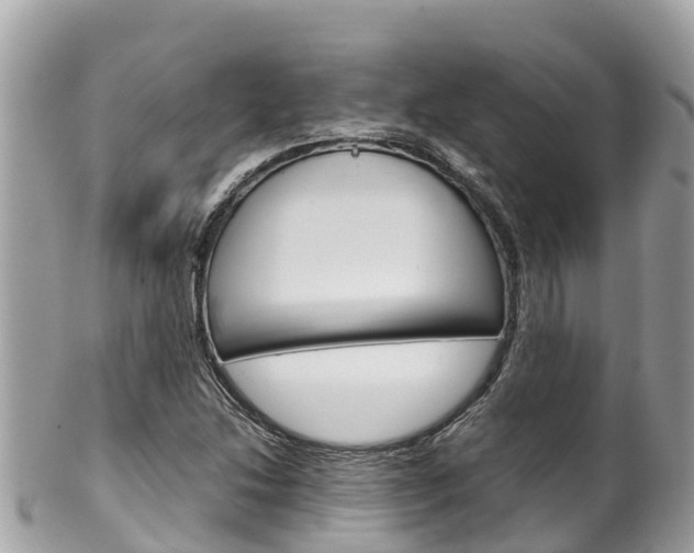 X0000100491214200806130748