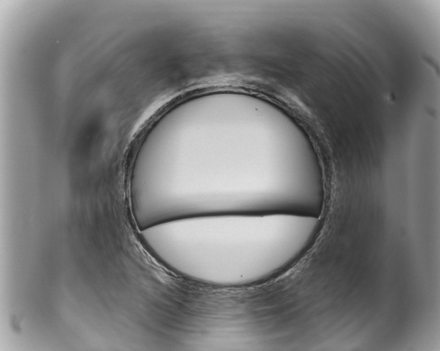 X0000100491216200806130748