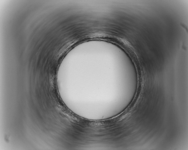 X0000100491217200806130748