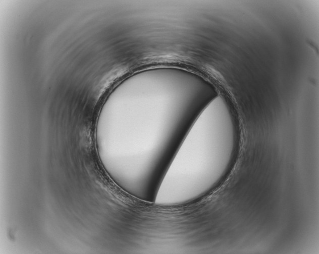 X0000100491218200806130748