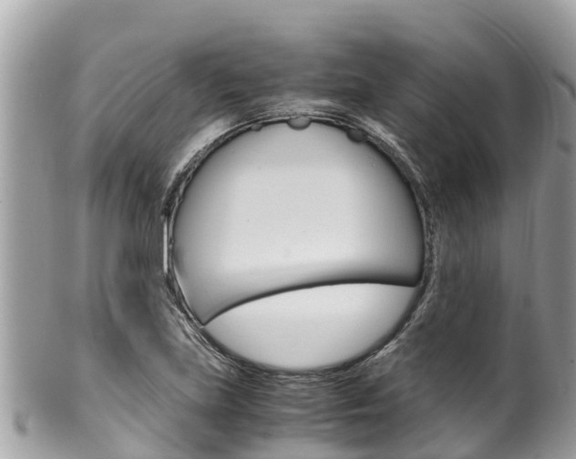 X0000100491219200806130748