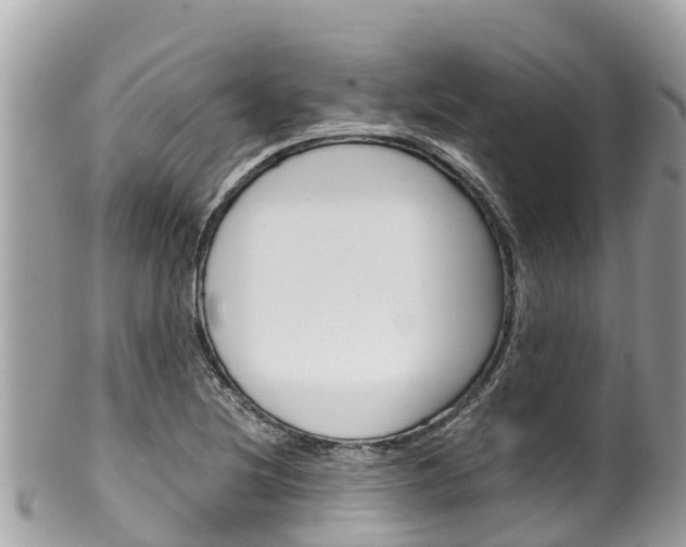 X0000100491220200806130748