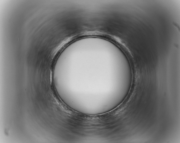 X0000100491221200806130748