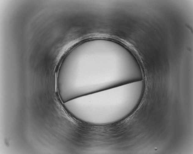X0000100491223200806130748