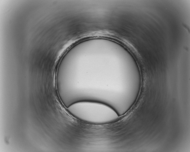 X0000100491224200806130748