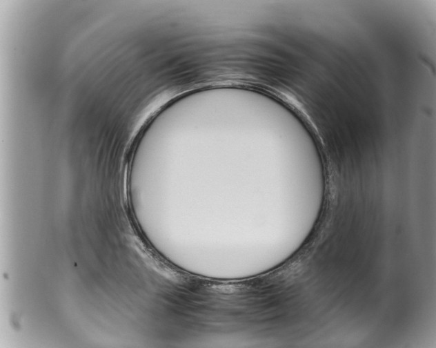 X0000100491227200806130748