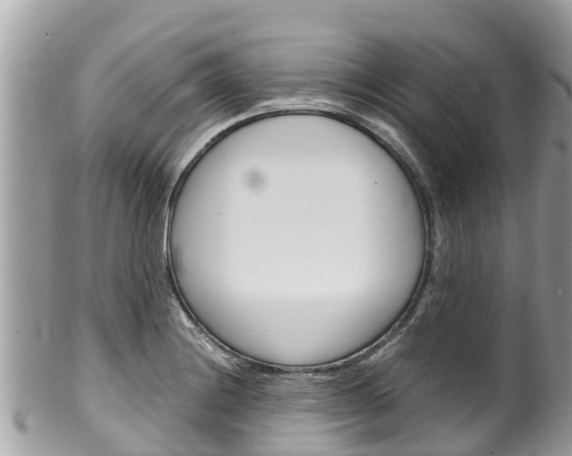 X0000100491228200806130748
