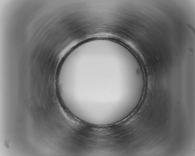 X0000100491229200806130748