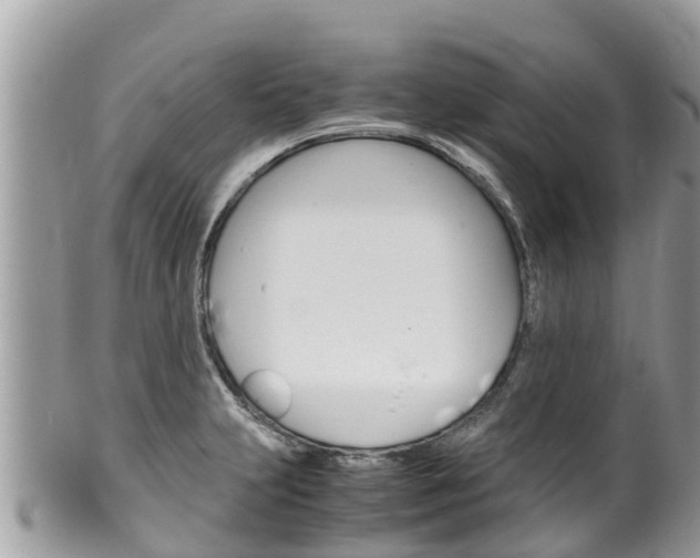 X0000100491231200806130748