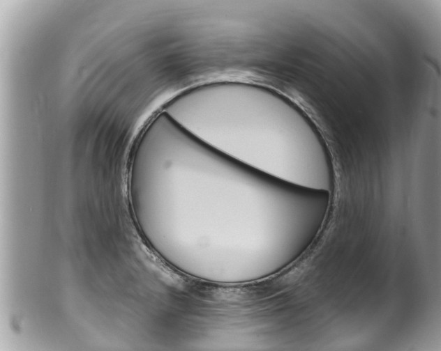 X0000100491232200806130748