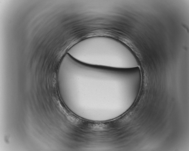 X0000100491233200806130748