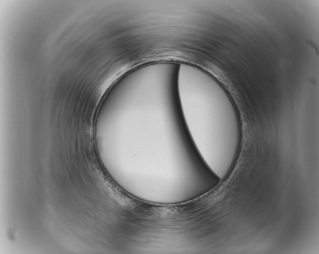 X0000100491234200806130748
