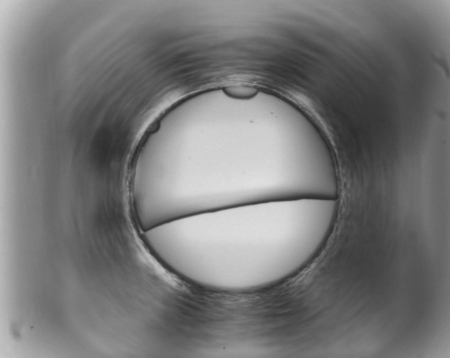 X0000100491235200806130748