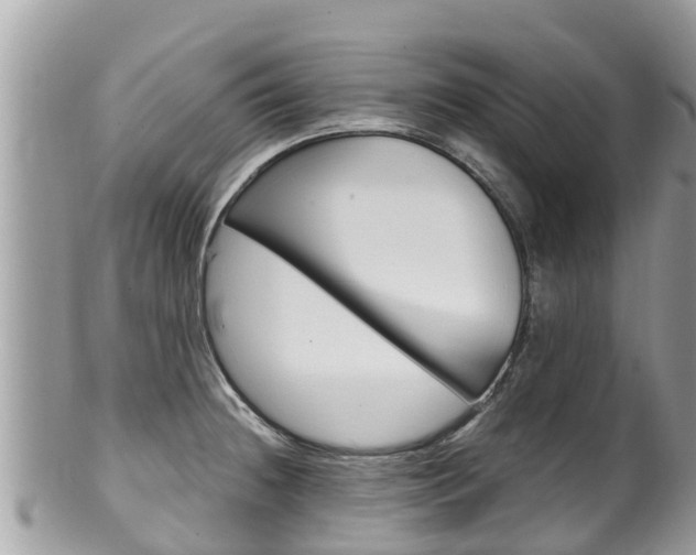 X0000100491236200806130748