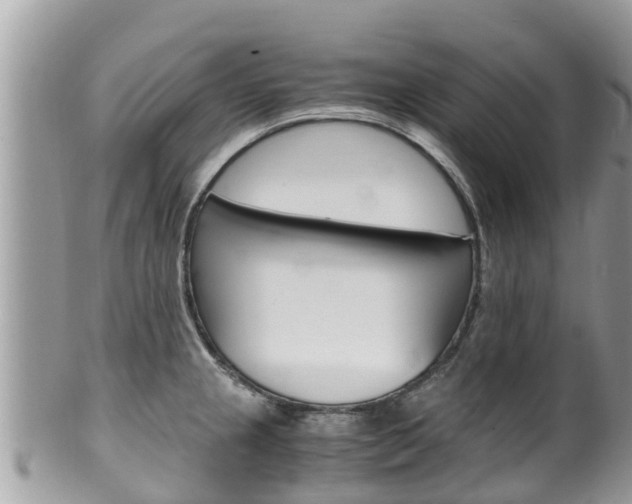 X0000100491237200806130748