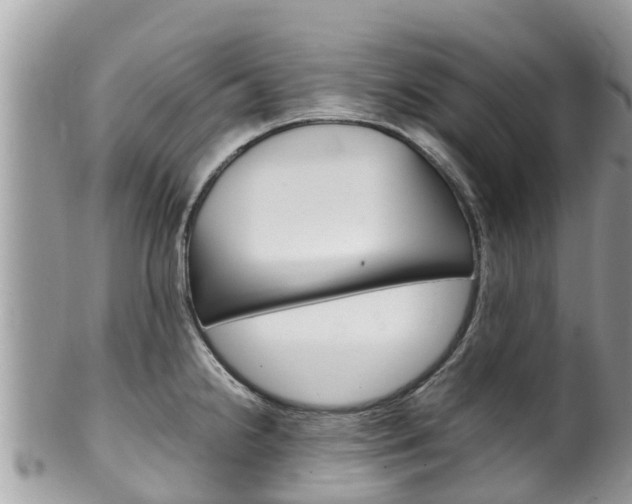 X0000100491238200806130748