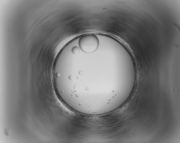 X0000100491239200806130748
