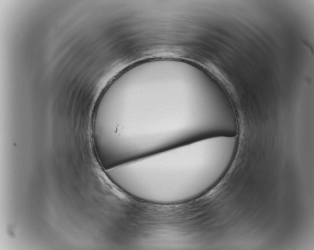 X0000100491240200806130748