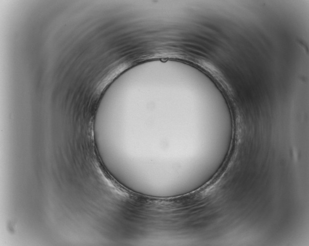 X0000100491241200806130748