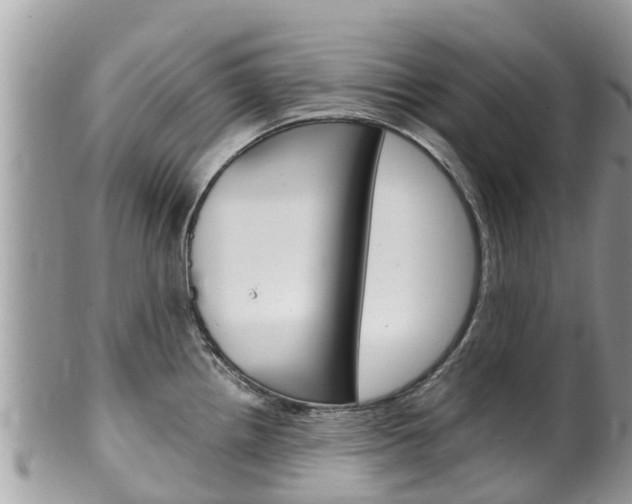 X0000100491242200806130748