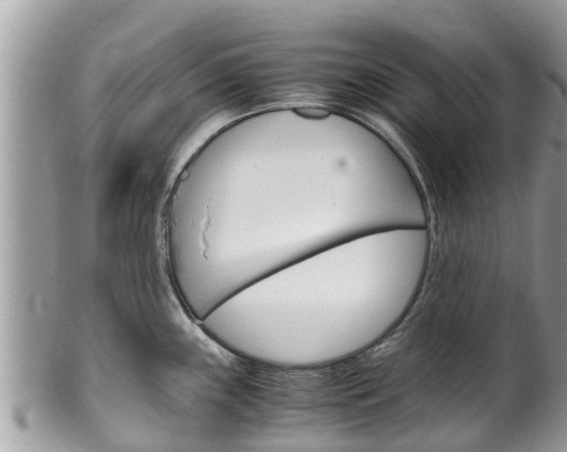 X0000100491243200806130748