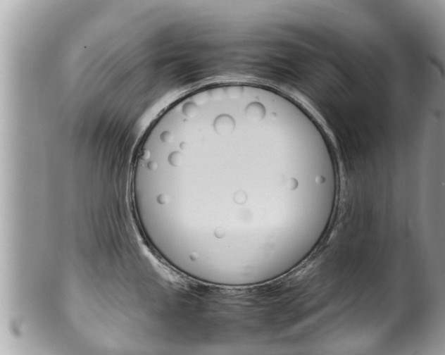 X0000100491245200806130748
