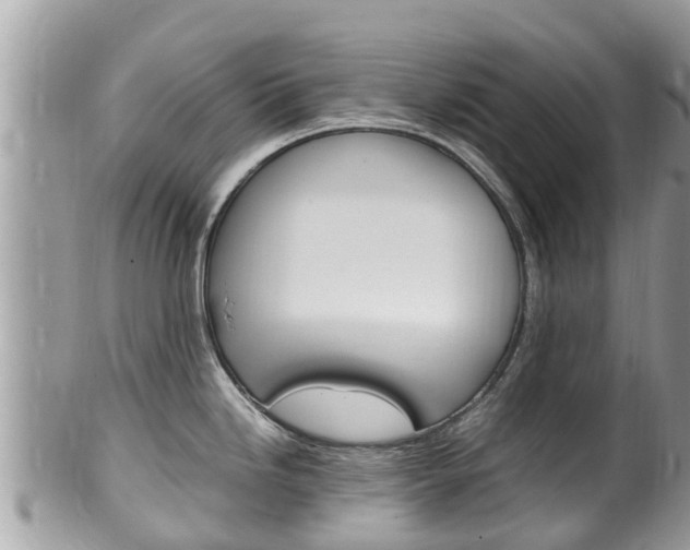 X0000100491246200806130748
