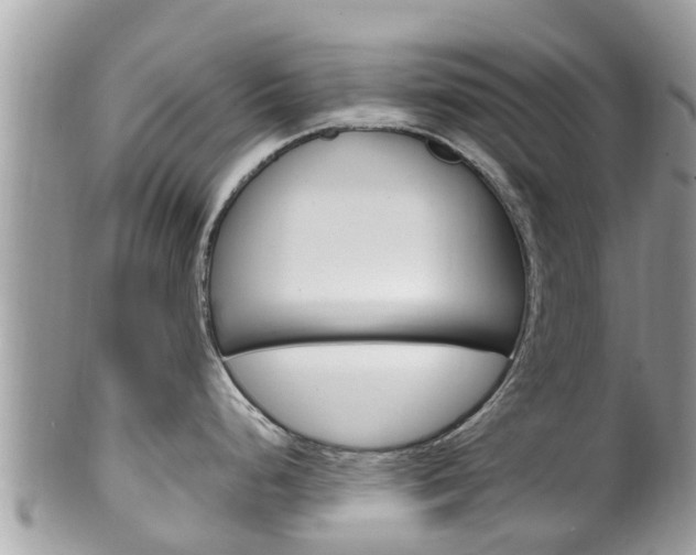 X0000100491248200806130748