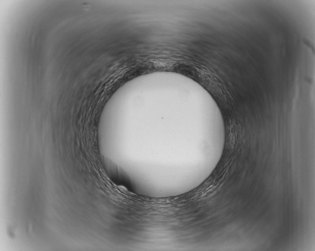 X0000100491249200806130748