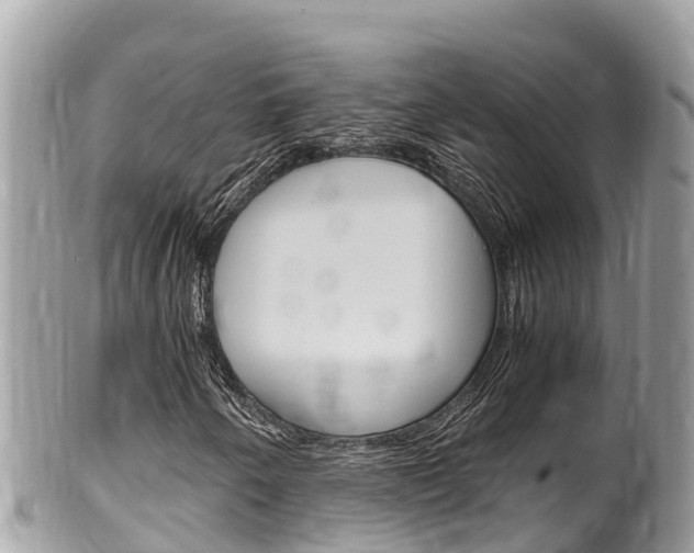 X0000100491250200806130748