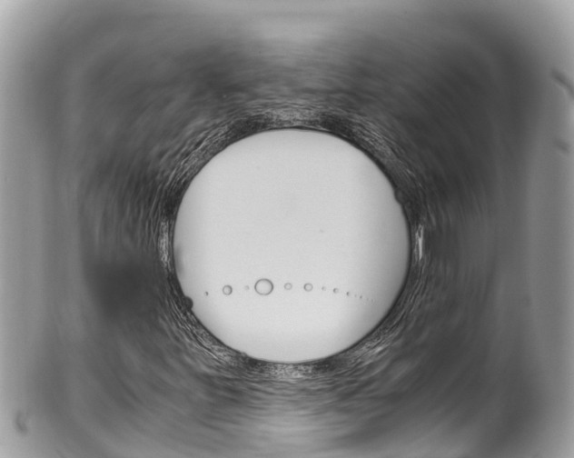 X0000100491251200806130748