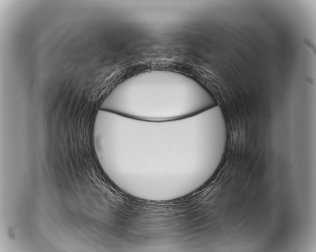 X0000100491252200806130748