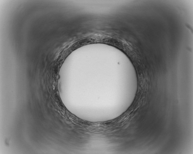 X0000100491253200806130748