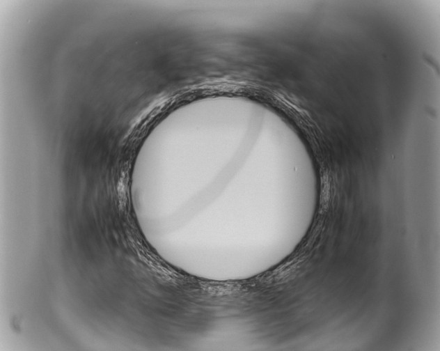 X0000100491254200806130748