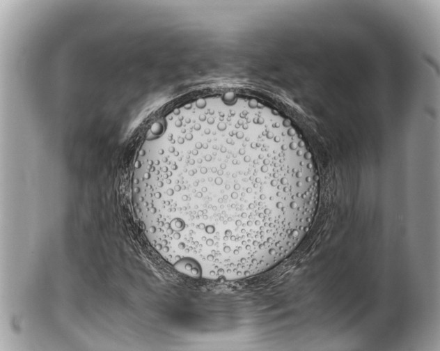 X0000100491255200806130748